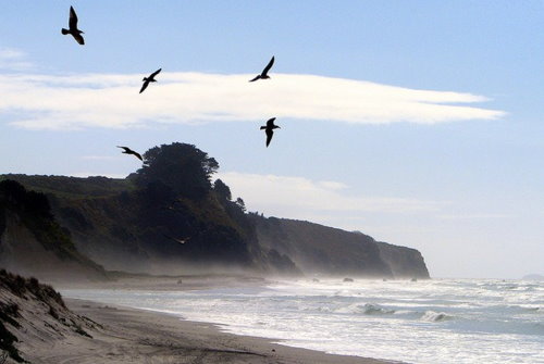 Pukehina Beach